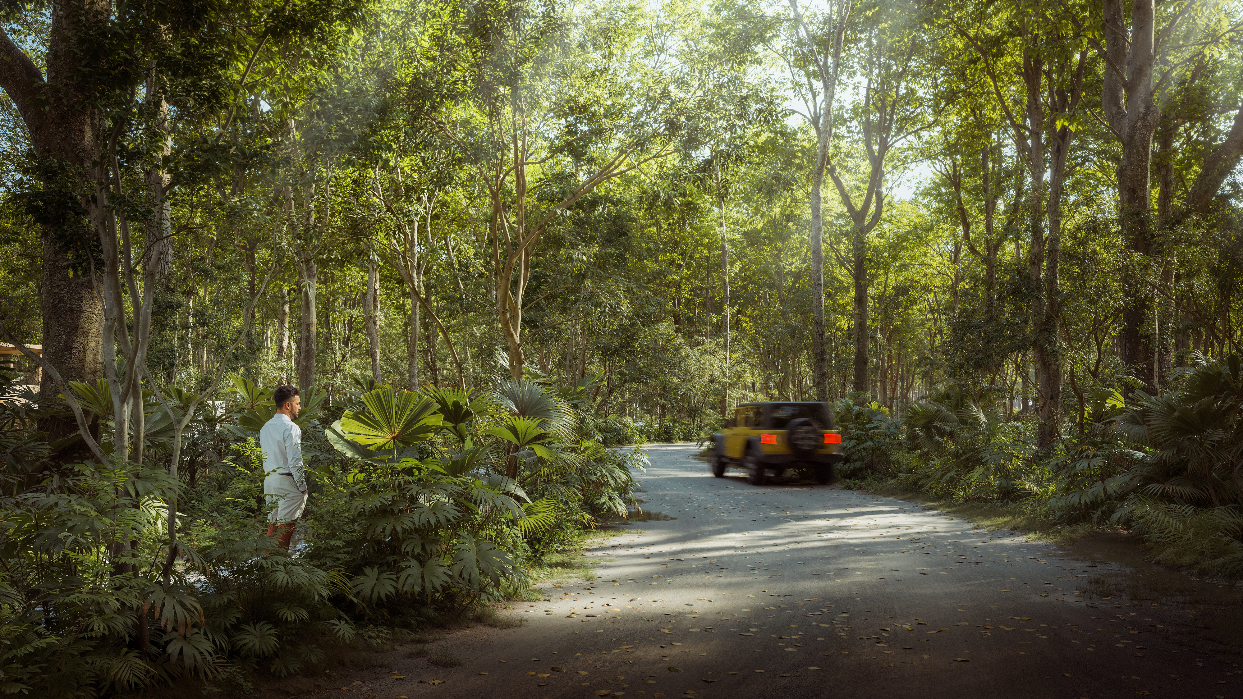 Selvadentro - tierra de cenotes